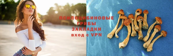каннабис Алзамай